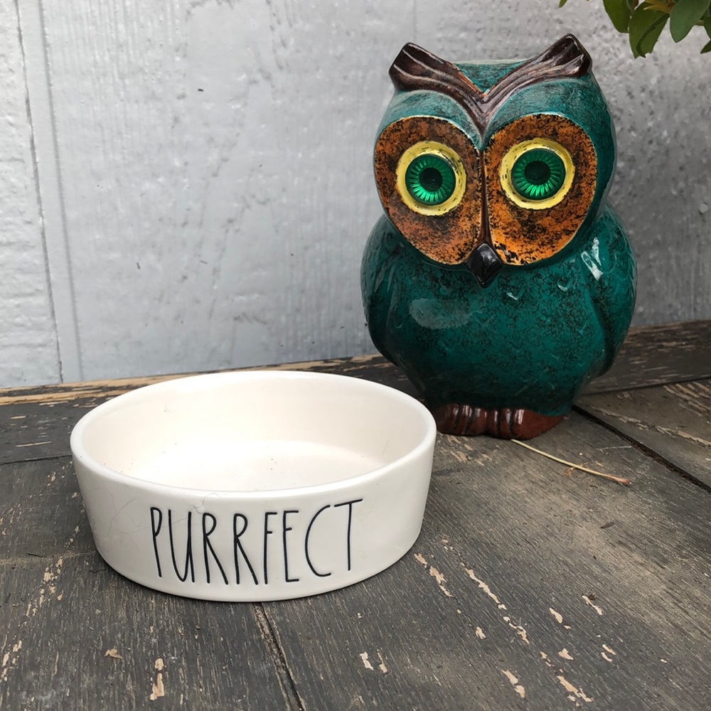 Rae Dunn cat food dish